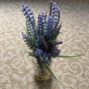 Lavender plant in glass vase